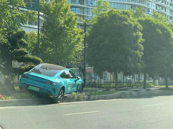 這輛車衝上路中央的花壇。(翻自X平台)