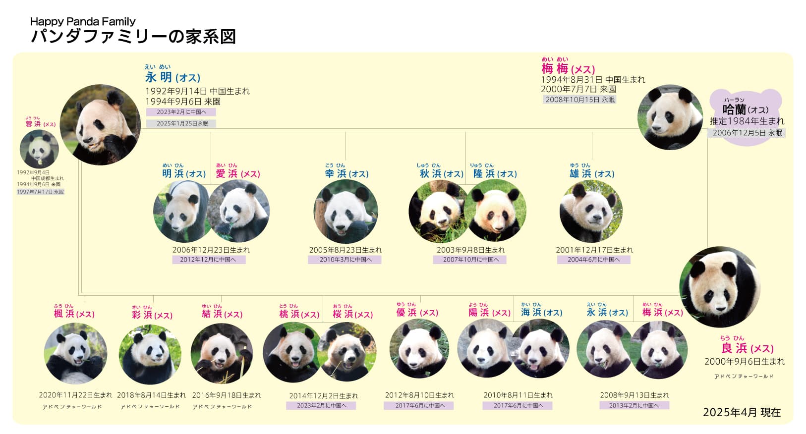 永明及良濱前後共生了16個小孩。(翻攝冒險大世界遊樂園官網)