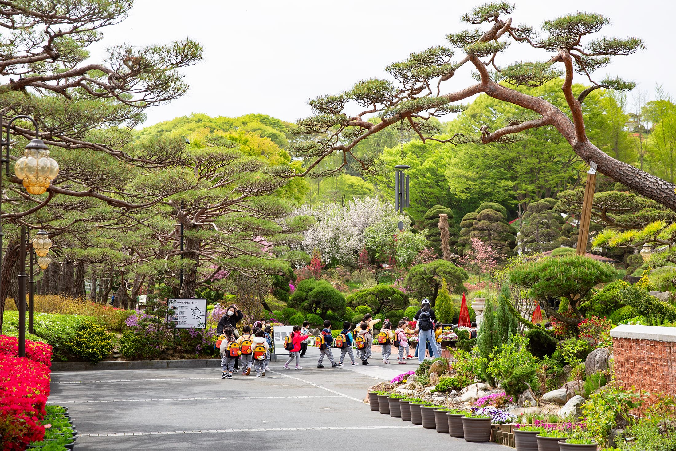 Beartree Park擁有上千種植物收藏,四季皆呈現不同風景。