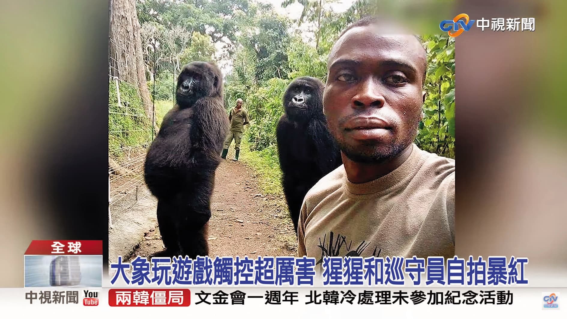 據爆,彭愛佳要中視新聞部同仁少剪黑人影片,嫌畫面髒,聽了都令同仁難忍。(翻攝自中視新聞YouTube)