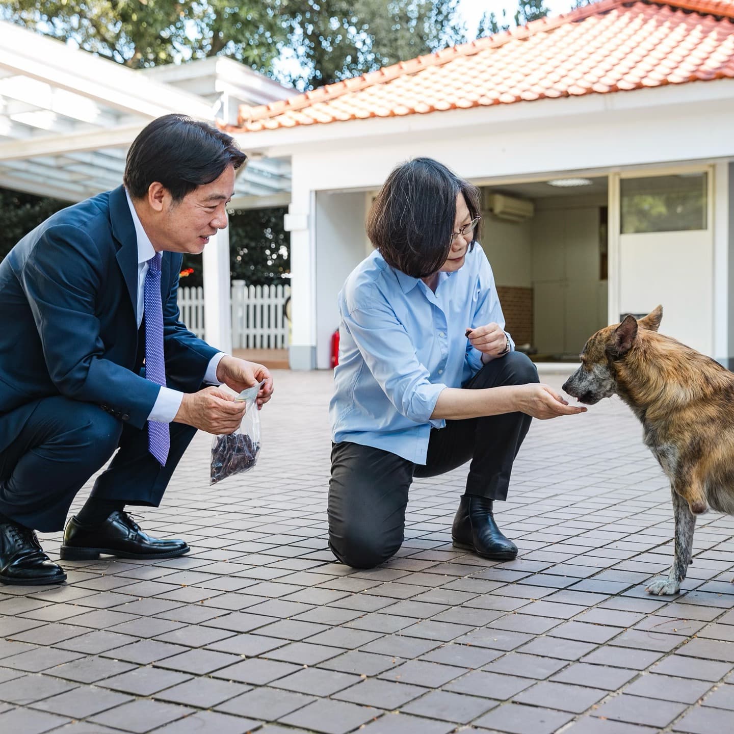 蔡英文2024年曾帶自製的牛肉乾去找賴清德愛犬斑斑(圖)、Murphy。(翻攝蔡英文Threads)