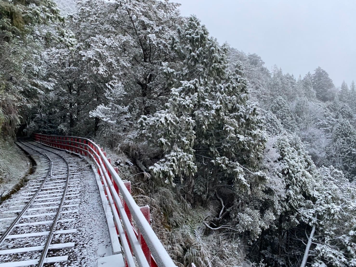 蹦蹦車道披上銀霜。(農業部林業及自然保育署宜蘭分署提供)