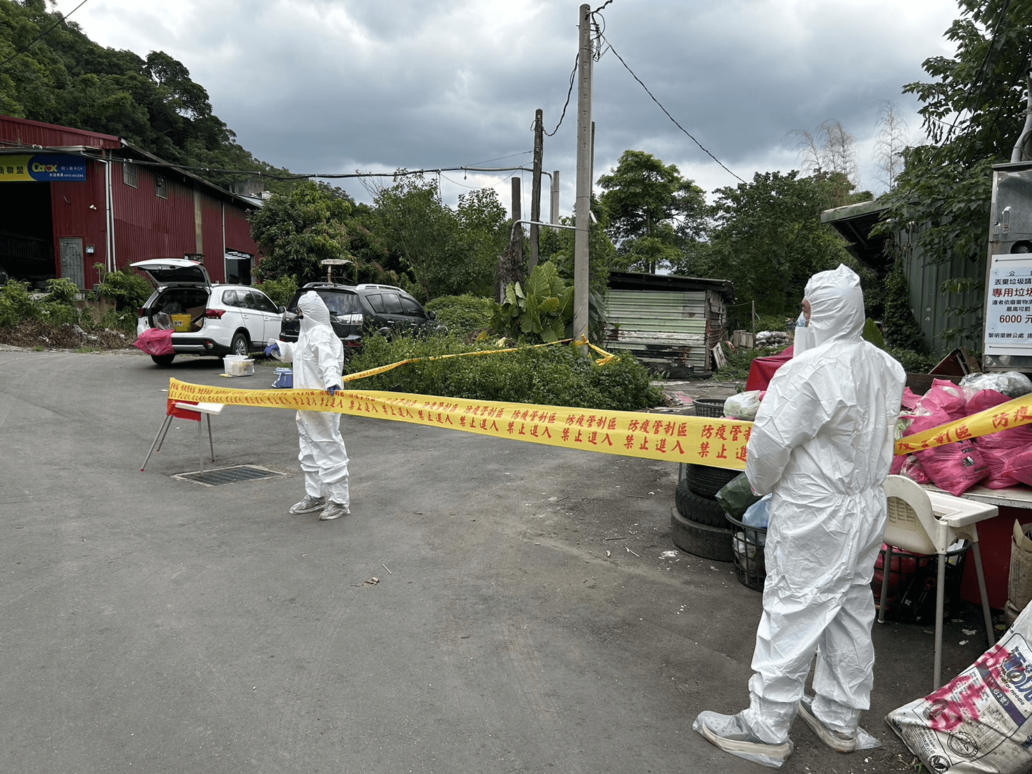 泰山區泰林路3段330巷雨水下水道出現豬屍,拉起防疫封鎖線。(新北動保處提供)