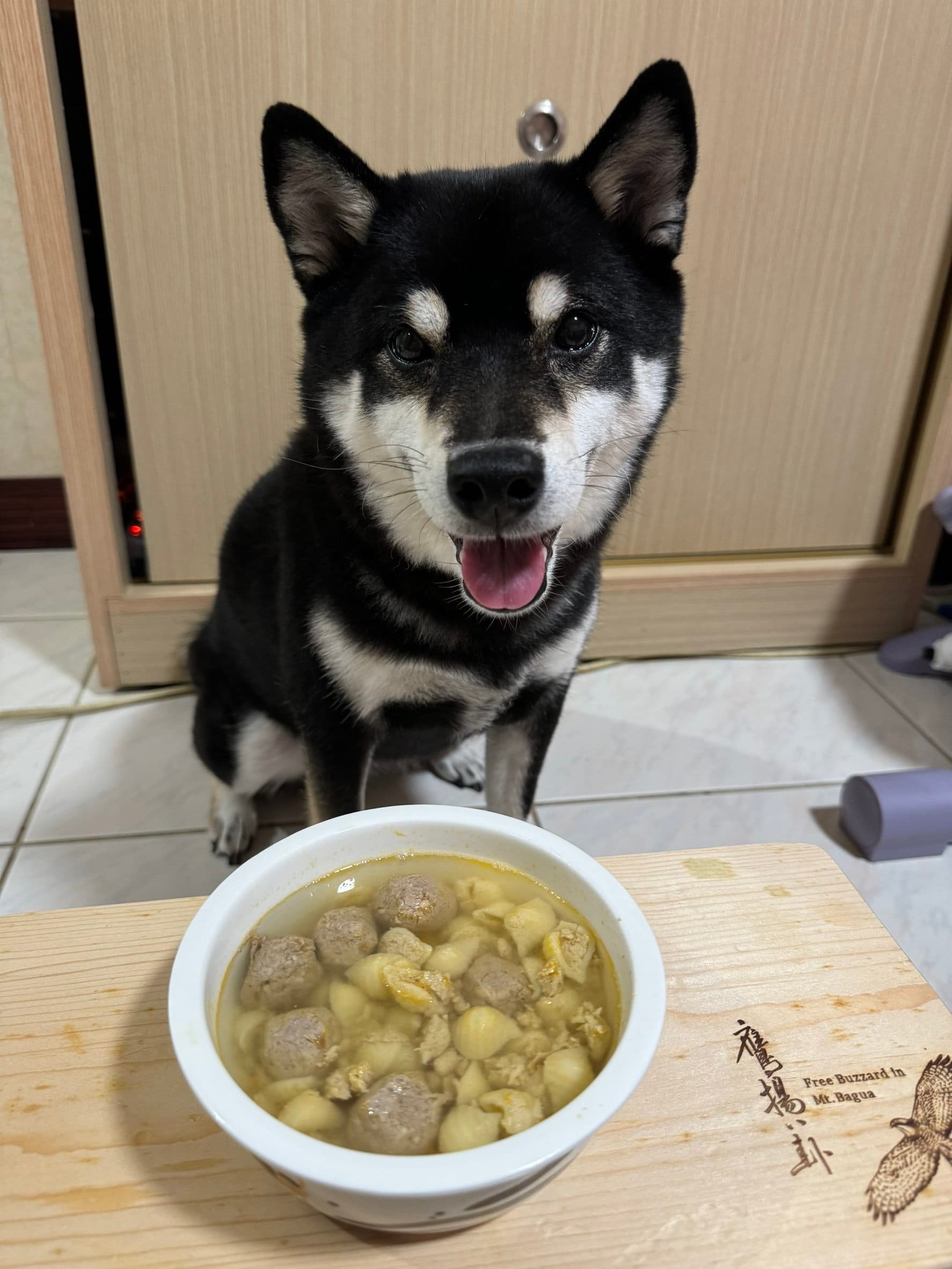 飼主購買寵物食品時應注意購買產品包裝標示完整,才能讓毛孩安心享用美味大餐。(北市動保處提供)