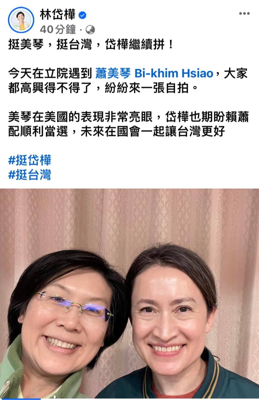 立委林岱樺與過去曾是戰友的副總統參選人蕭美琴自拍,支持者紛紛留言力挺。(翻攝林岱樺臉書)