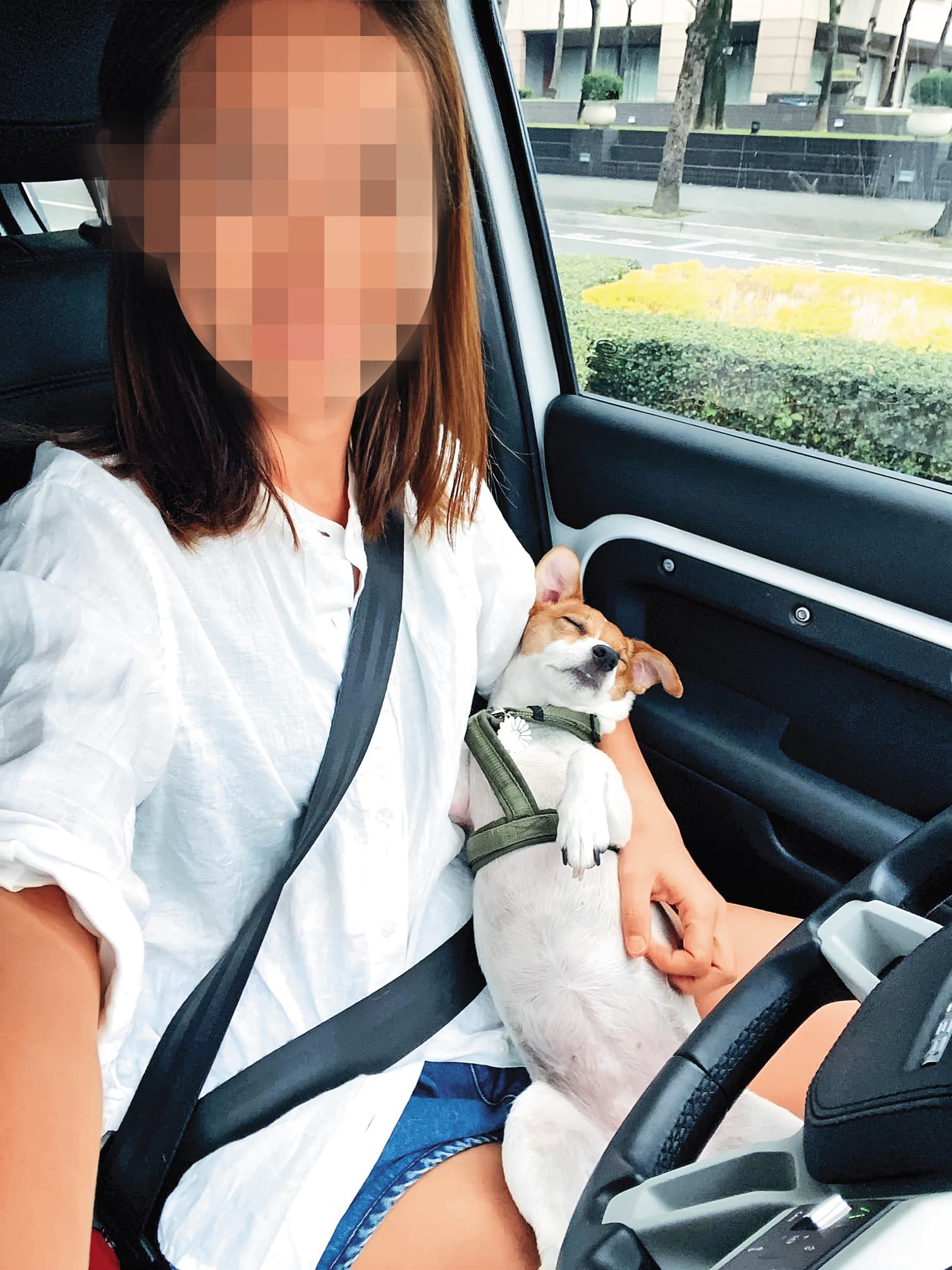 黃柏漙的女兒身為網紅，不但經營「波波的餐桌日常」粉專，也是知名寵物餐廳「波宅」的主理人。（翻攝自波波的餐桌日常臉書）