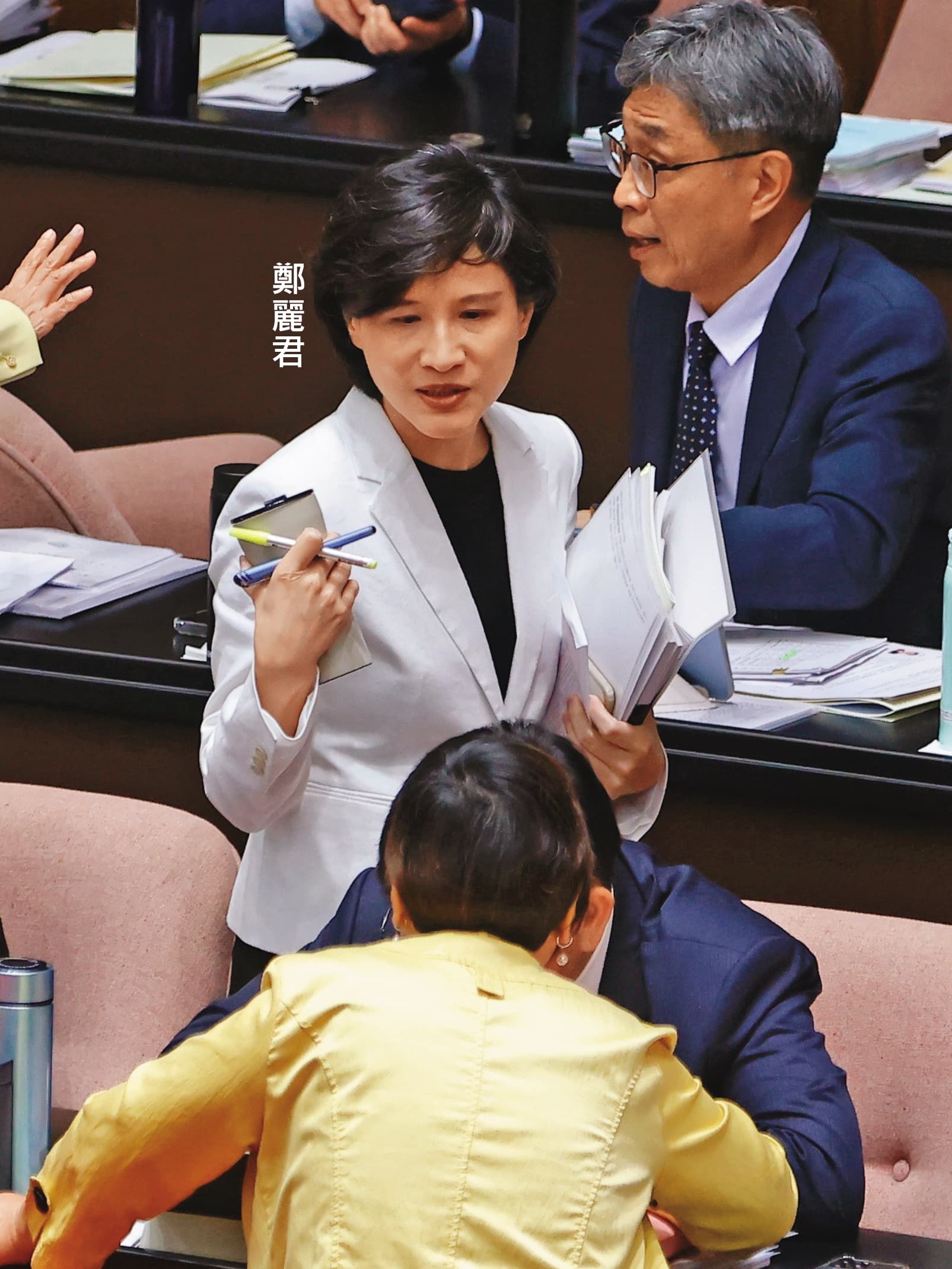鄭麗君目前代表行政院參加中常會、黨團大會、黨政幕僚會議等,是政院與黨團、黨部橫向聯繫的窗口。