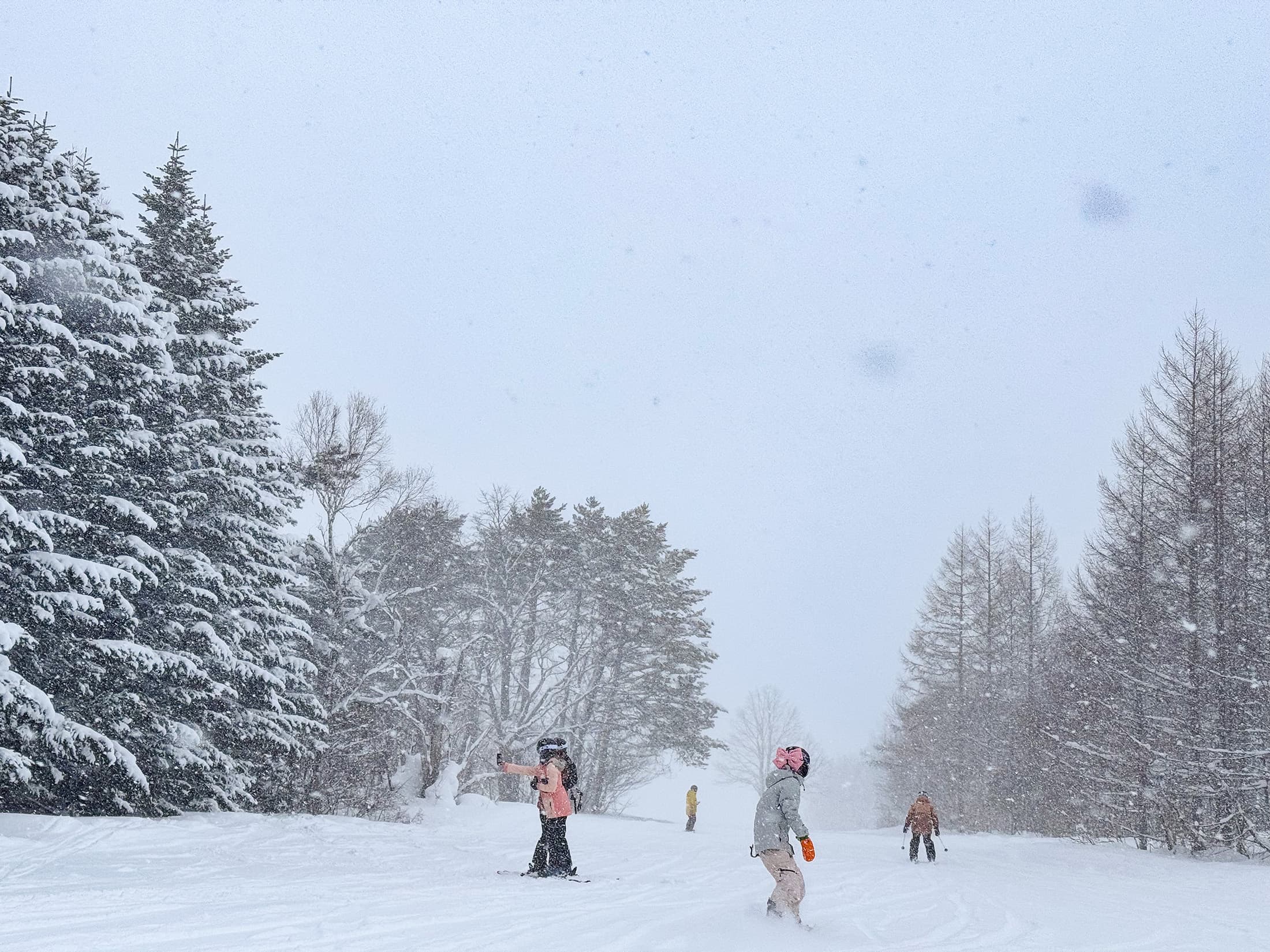 安比高原雪量充足，今年1月中旬的積雪厚度已達170公分。