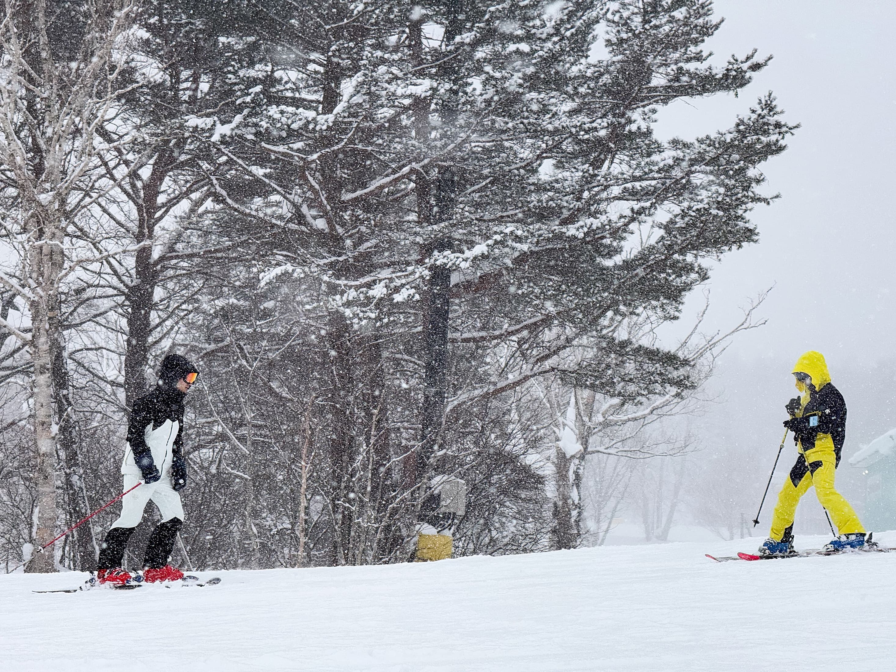 安比高原滑雪度假村共有21條路線，適合各種程度的滑雪客來挑戰。