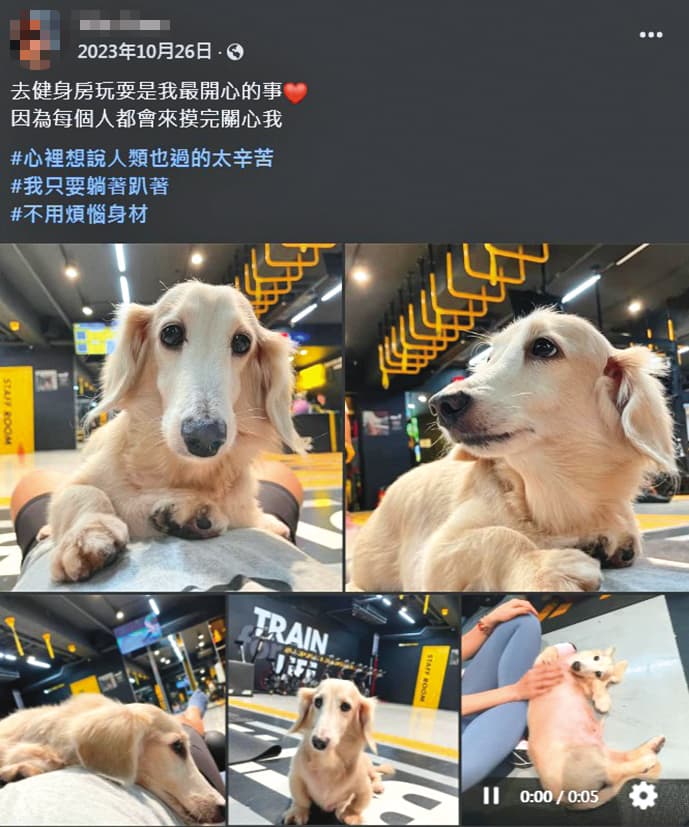難得公開的生活日常，黃柏漙女密友卻分享了與狗狗的互動，可見也是愛狗一族。（翻攝自女密友臉書）
