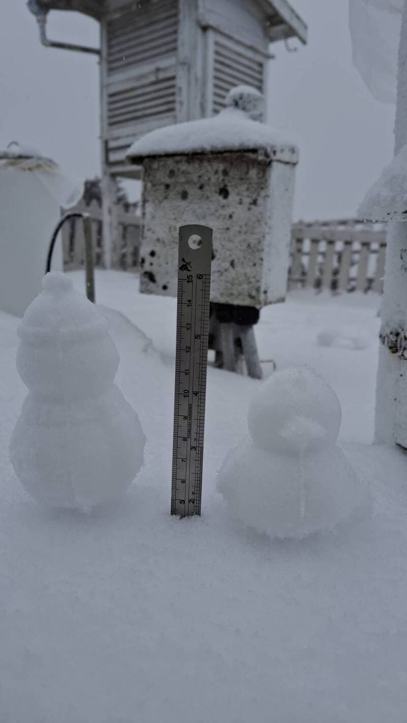 今日7時起,玉山開始降雪,雪深已達4公分。(中央氣象署提供)