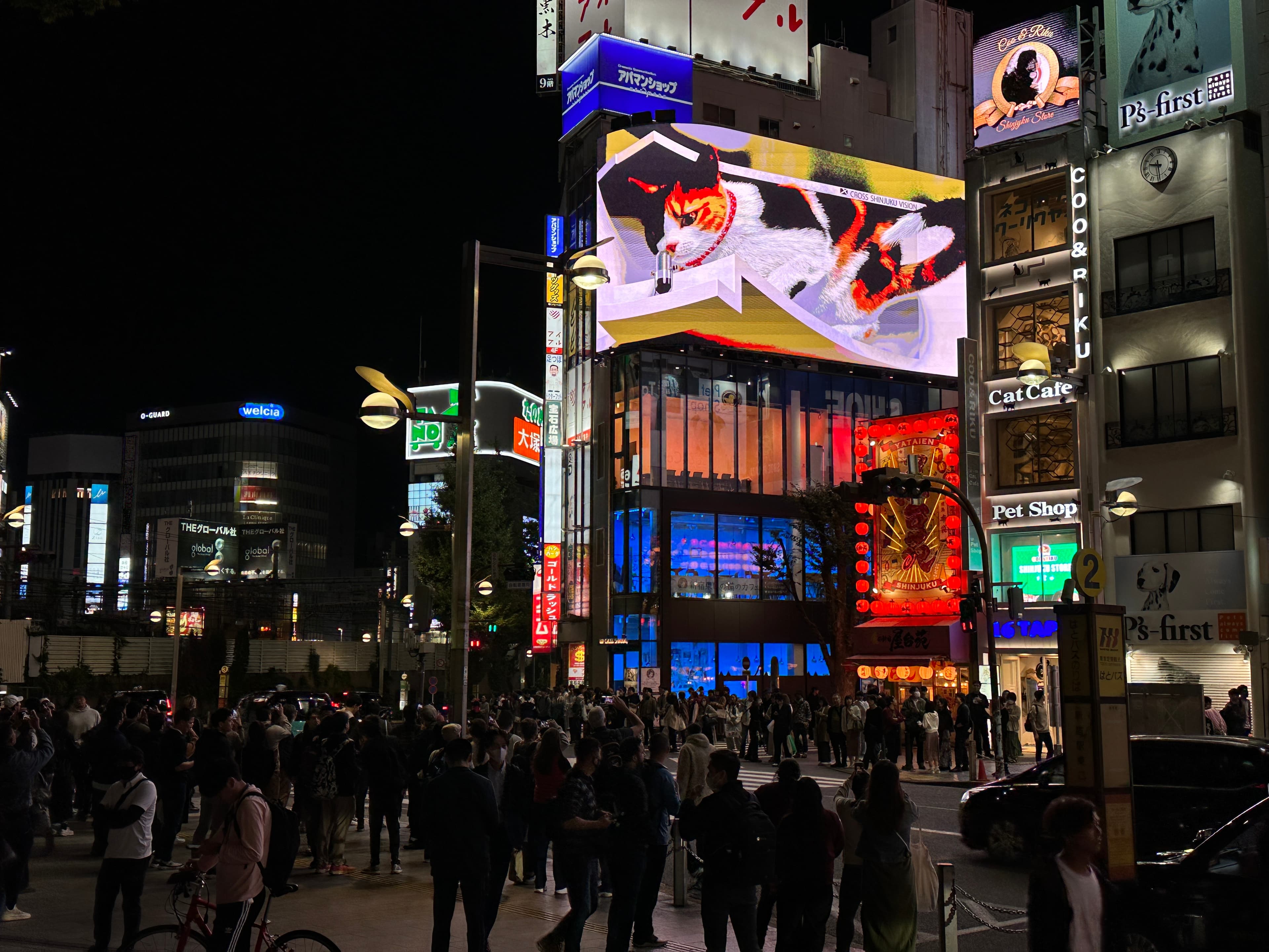 新宿車站東口旁的3D廣告螢幕,招牌吉祥物三花貓每隔一段時間就會出來見客,吸引遊客搶拍。