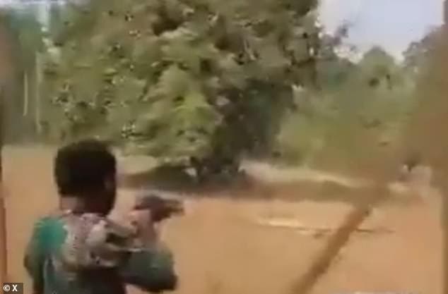 最後園方也決定,將這頭公獅射殺處死。(翻自X平台)