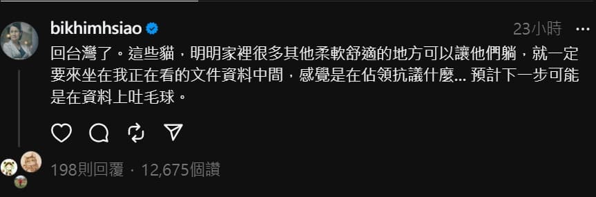 蕭美琴昨在Threads貼文,甜蜜抱怨家中的貓干擾工作。(翻攝Threads)