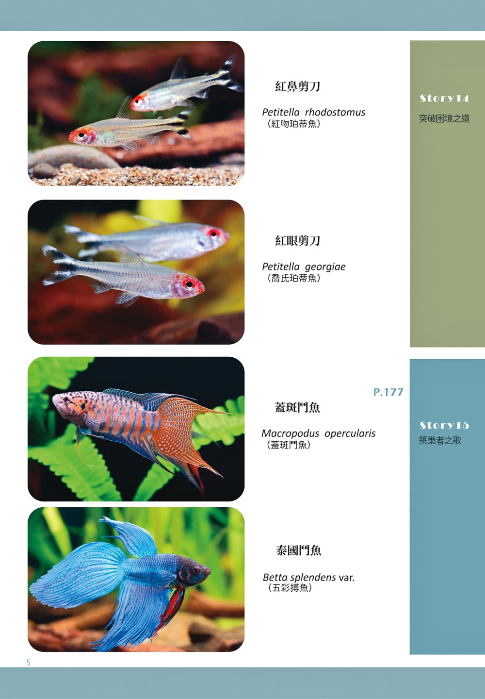 《水都物語》單行本附有故事中登場的觀賞魚圖鑑，照片多由「Fishbook非魚不可」站長王忠敬提供。（海穹文化提供）