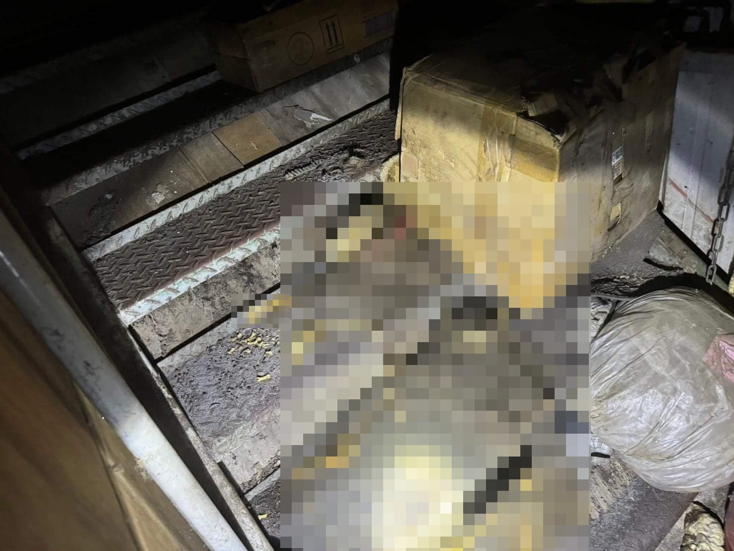 狗被活活餓死成白骨。(翻攝朱健銘臉書)