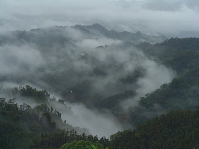 低海拔的雲海常有身在雲霧之中的美感。