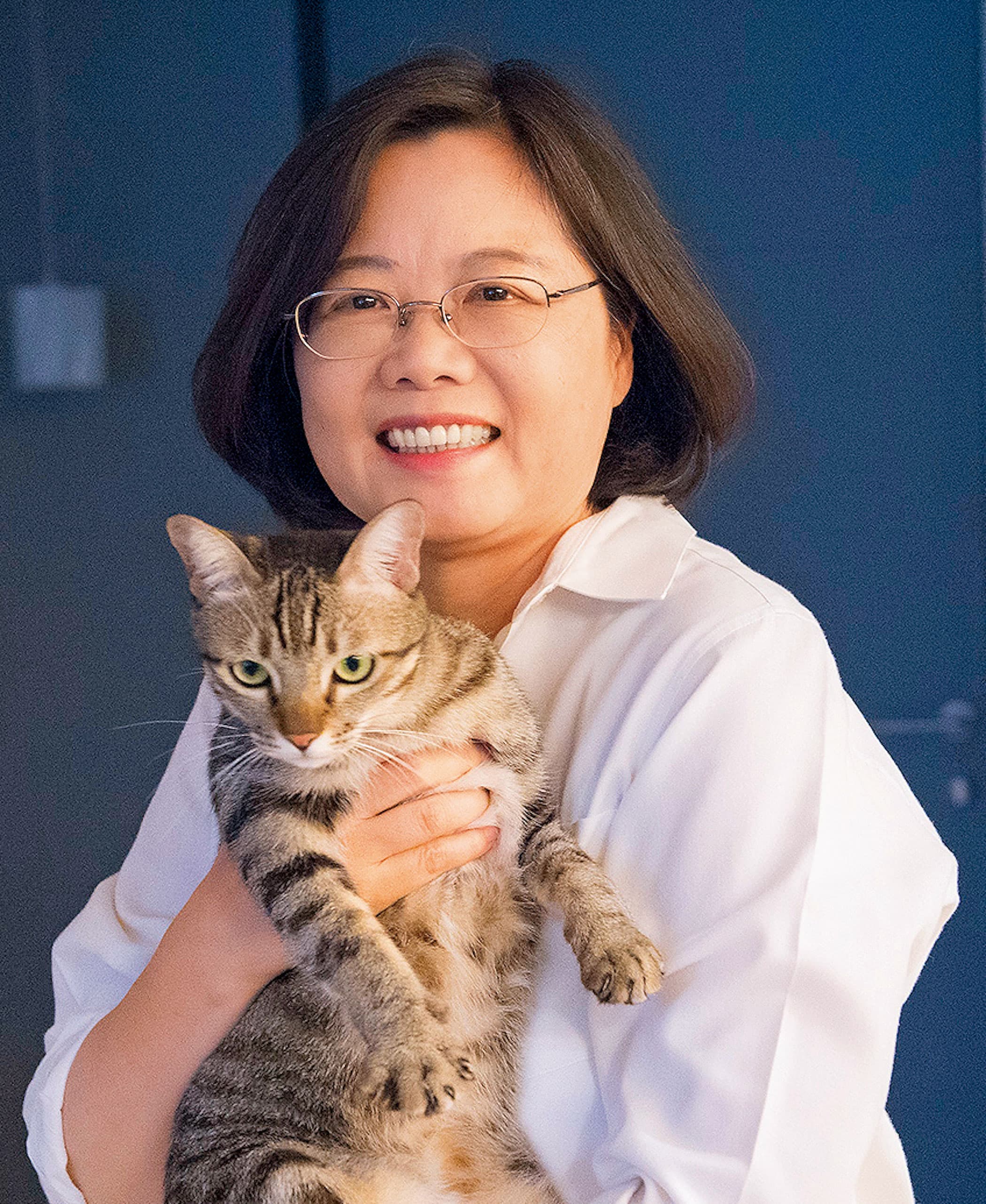 蔡想想是蔡英文的愛貓，但因牠脾氣壞，官邸毛小孩們之間要如何和平共處，讓蔡英文傷透腦筋。（取自蔡英文臉書）