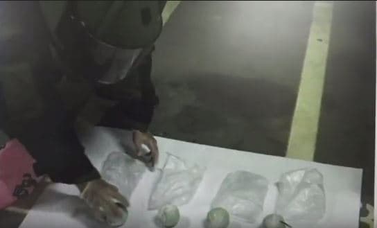 刑事局請來偵五大隊防爆小組處理徐嫌藏匿的煙火球。