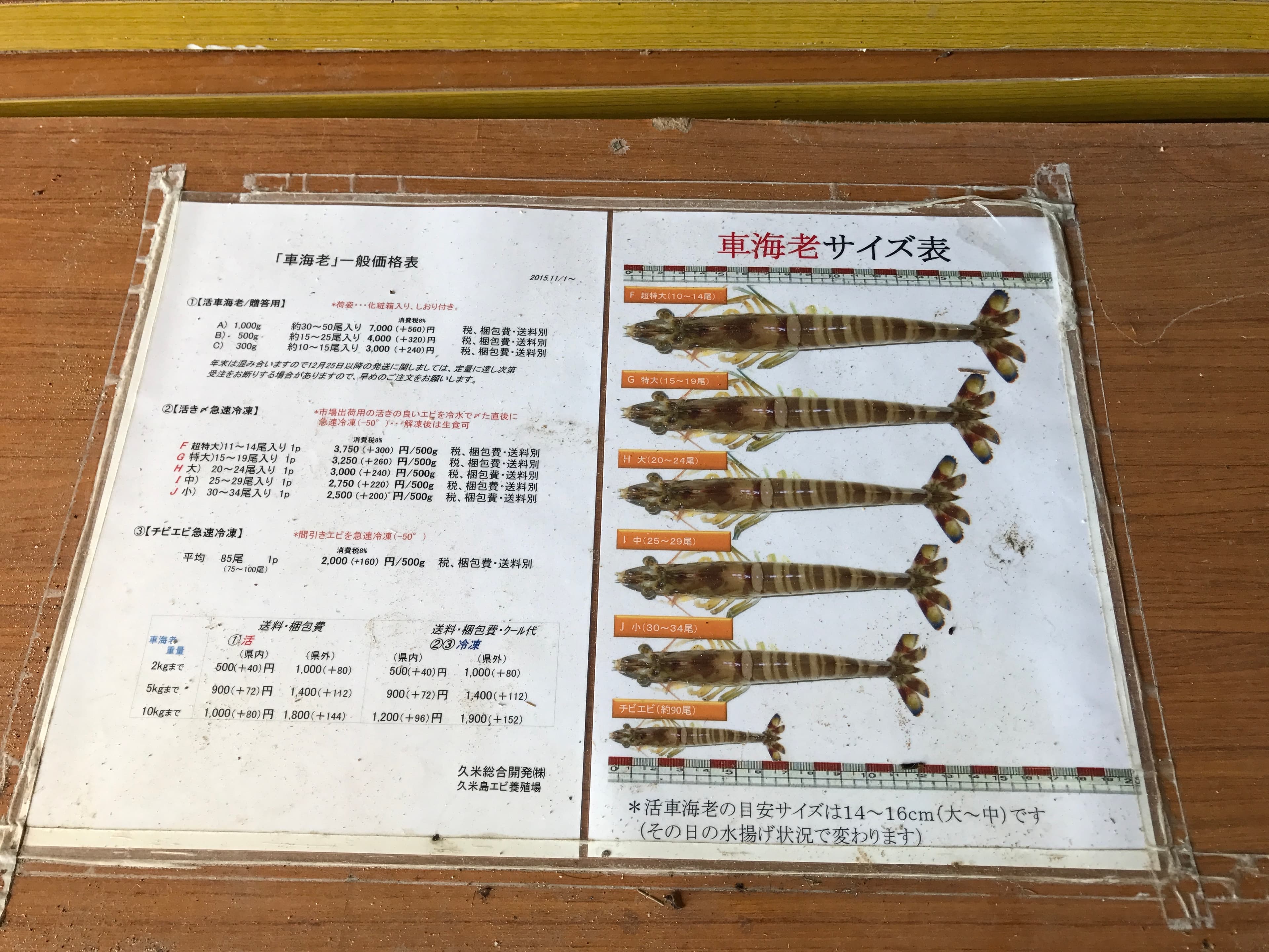 從稚蝦養到可出貨的成蝦大概須時半年，淘汰的小蝦也不會浪費，出貨給天婦羅店做炸麵餅。