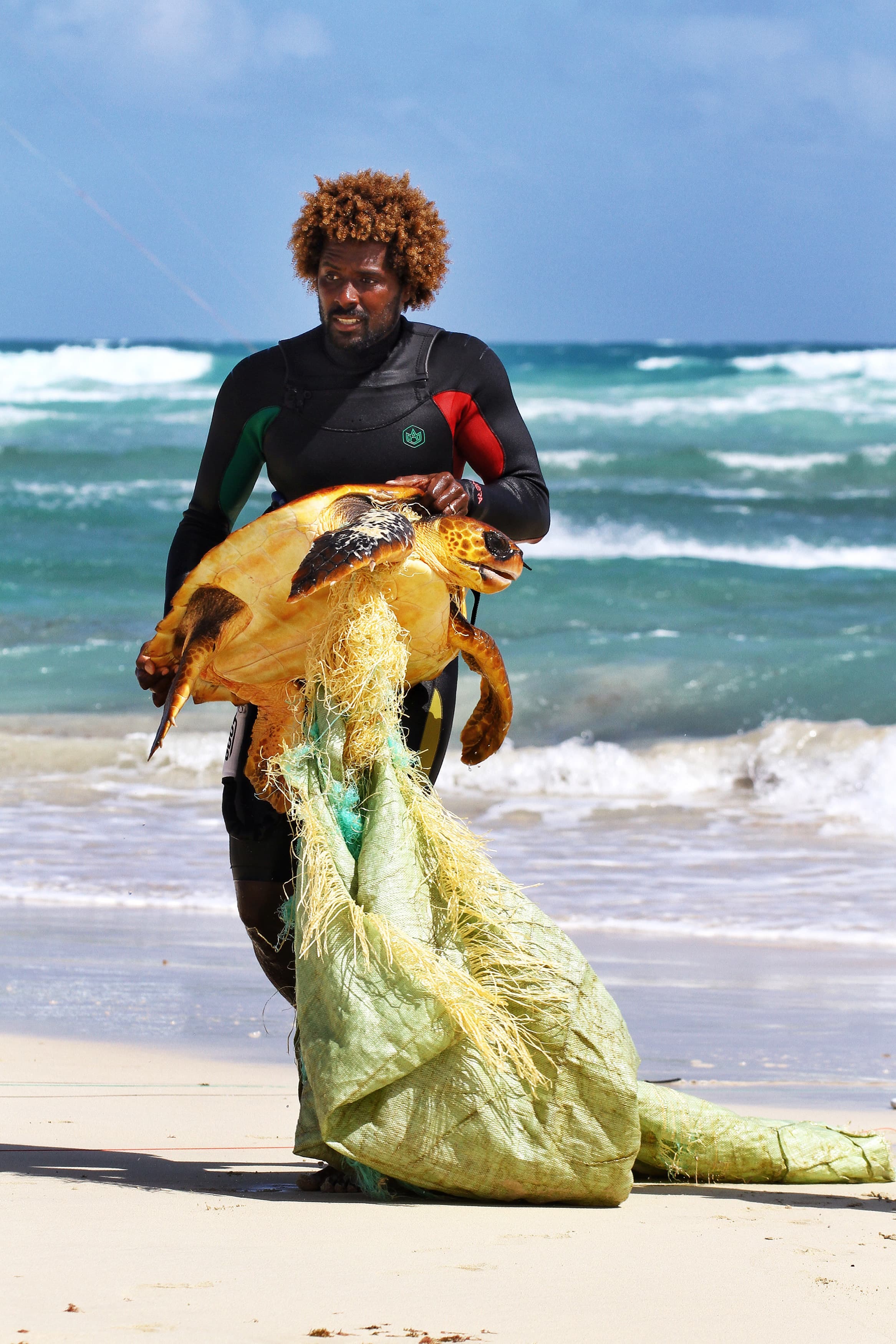 非洲西岸維德角(Cape Verde)薩爾島(Sal Island)海灘,一名衝浪好手把一隻被塑料纏住的海龜救上岸。海龜被發現時,無法自由呼吸游泳,痛苦掙扎。(東方IC)