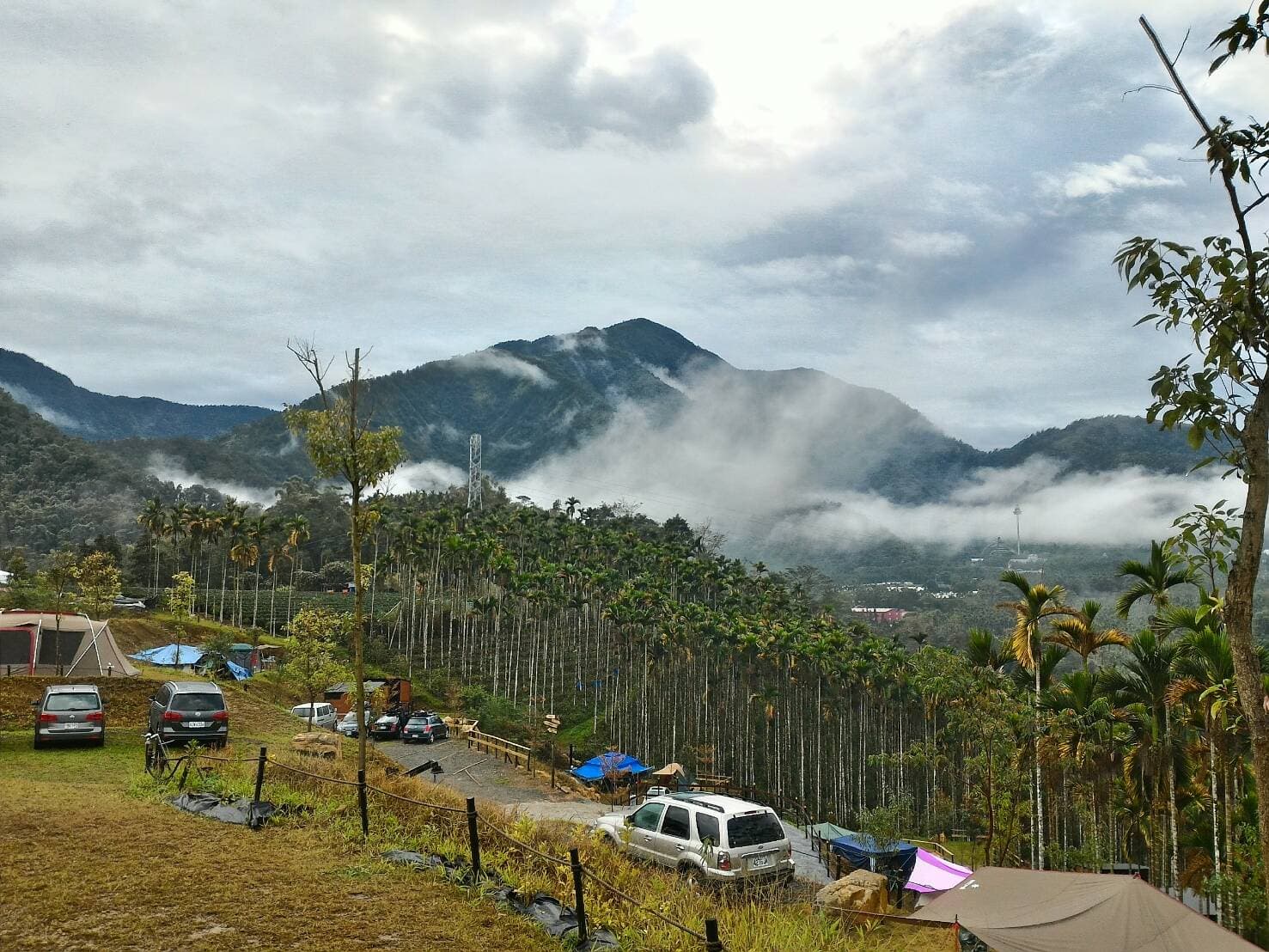 威廉莊園地處海拔800公尺之處,卻是觀賞低海拔雲海的好地方。