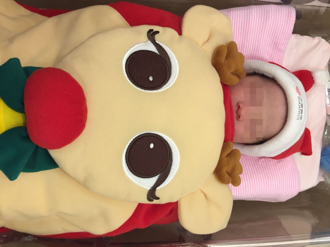 阿緯在老婆生產的12小時全程陪伴,看到女兒出生瞬間噴淚。圖:分工合作
