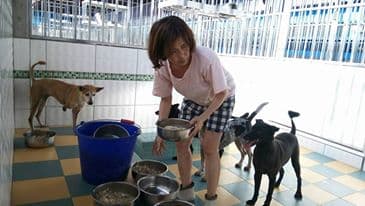高雄市關懷流浪動物協會理事長王小華（原名王春金），從事動物保護工作20年，是知名動保人士。（取自王春金臉書）