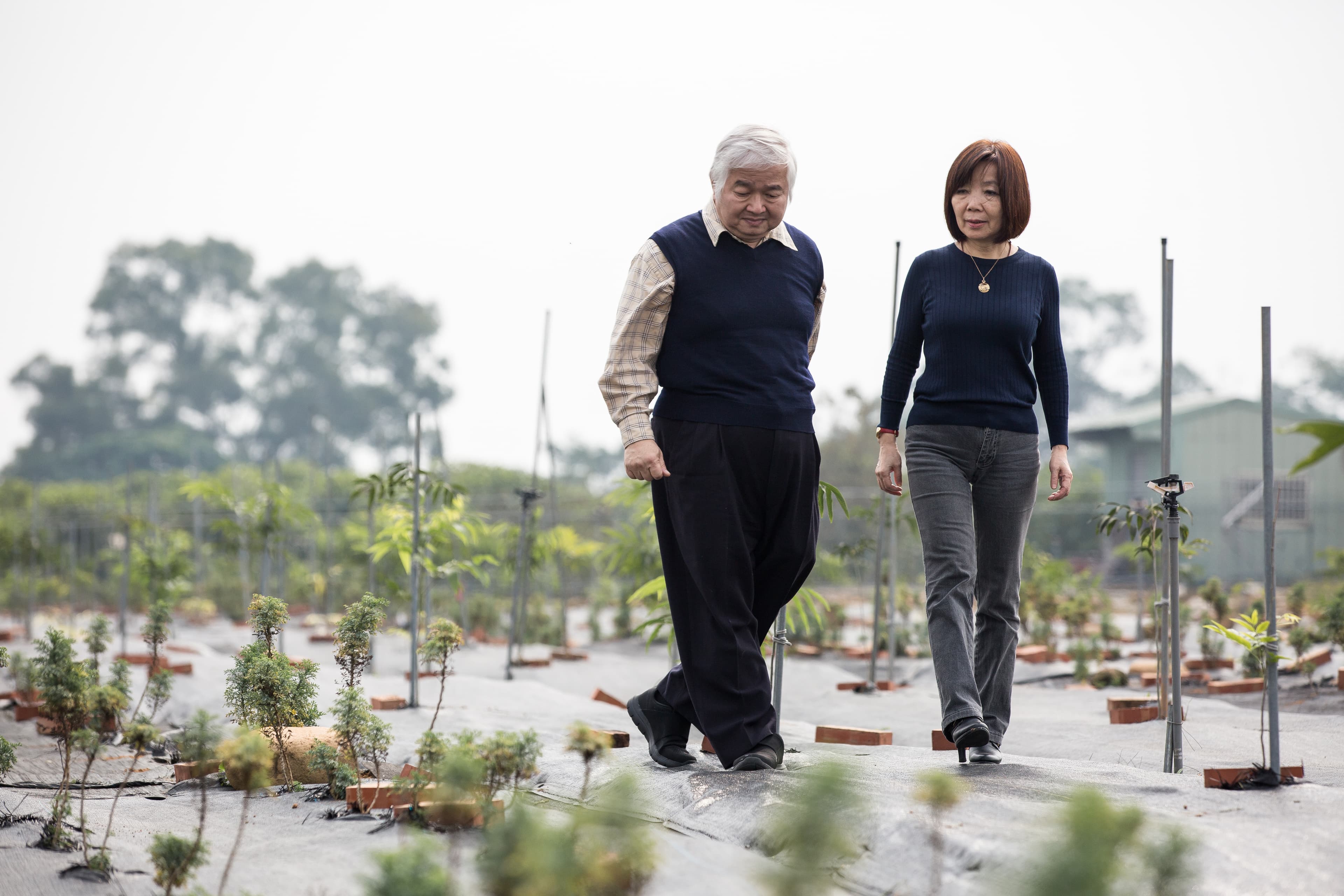 李志誠(左)與林瓊婉(右)投入中草藥研究長達35年，因堅持採友善農法，不惜付出較高成本。