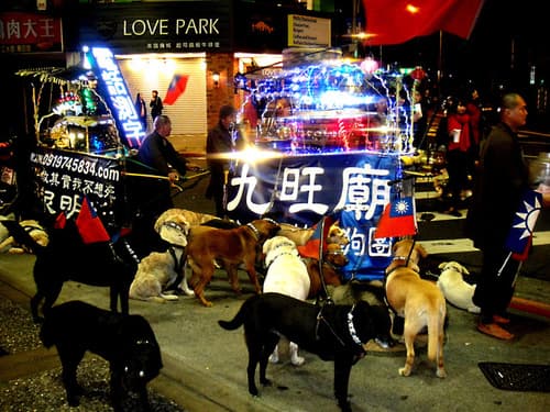 九旺廟在網路上大剌剌宣傳政治理念，還在狗背上插國旗。（翻攝畫面）