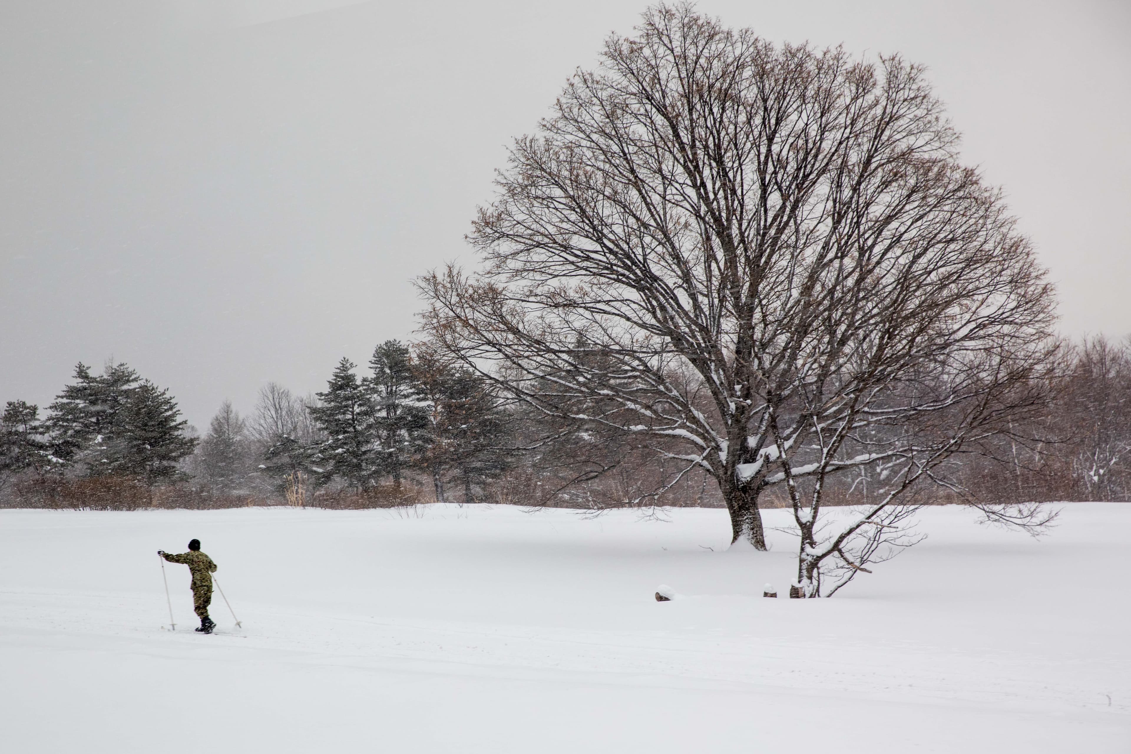 軍隊正在進行雪地軍事訓練，令人不禁聯想1902年發生於八甲田山的嚴重雪中行軍山難事件。