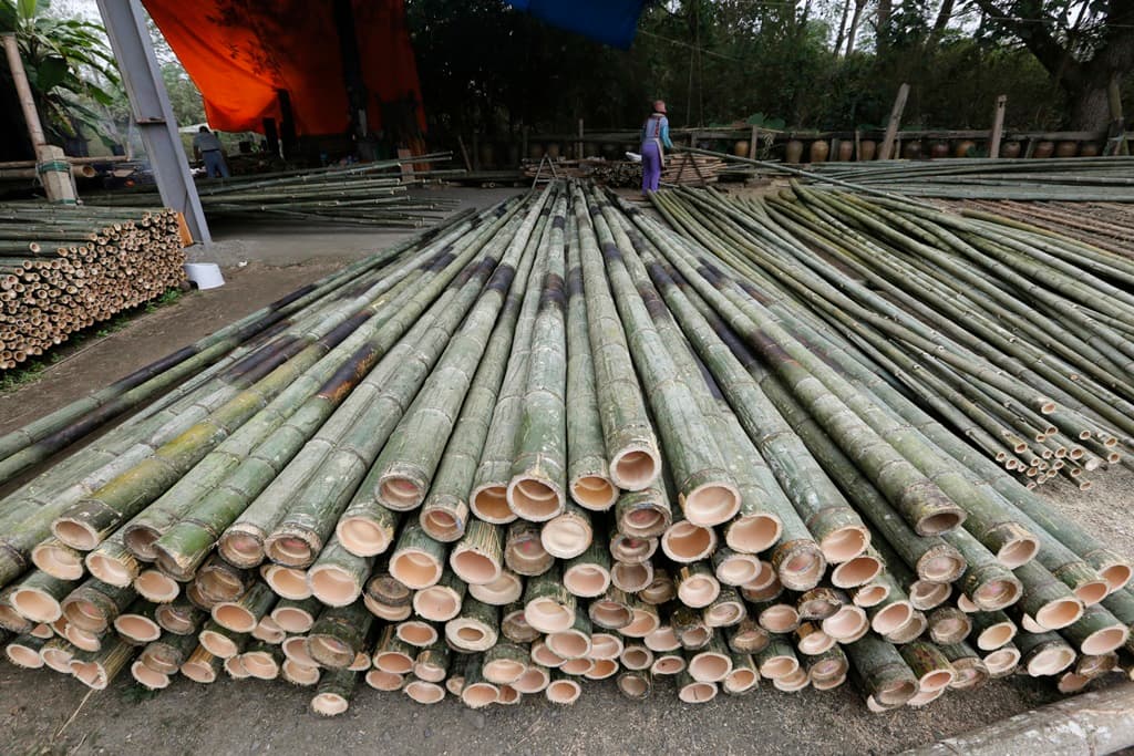 長又直的孟宗竹多用於建築鷹架或選舉旗幟架，少數蚵農也會購買做為蚵架之用。