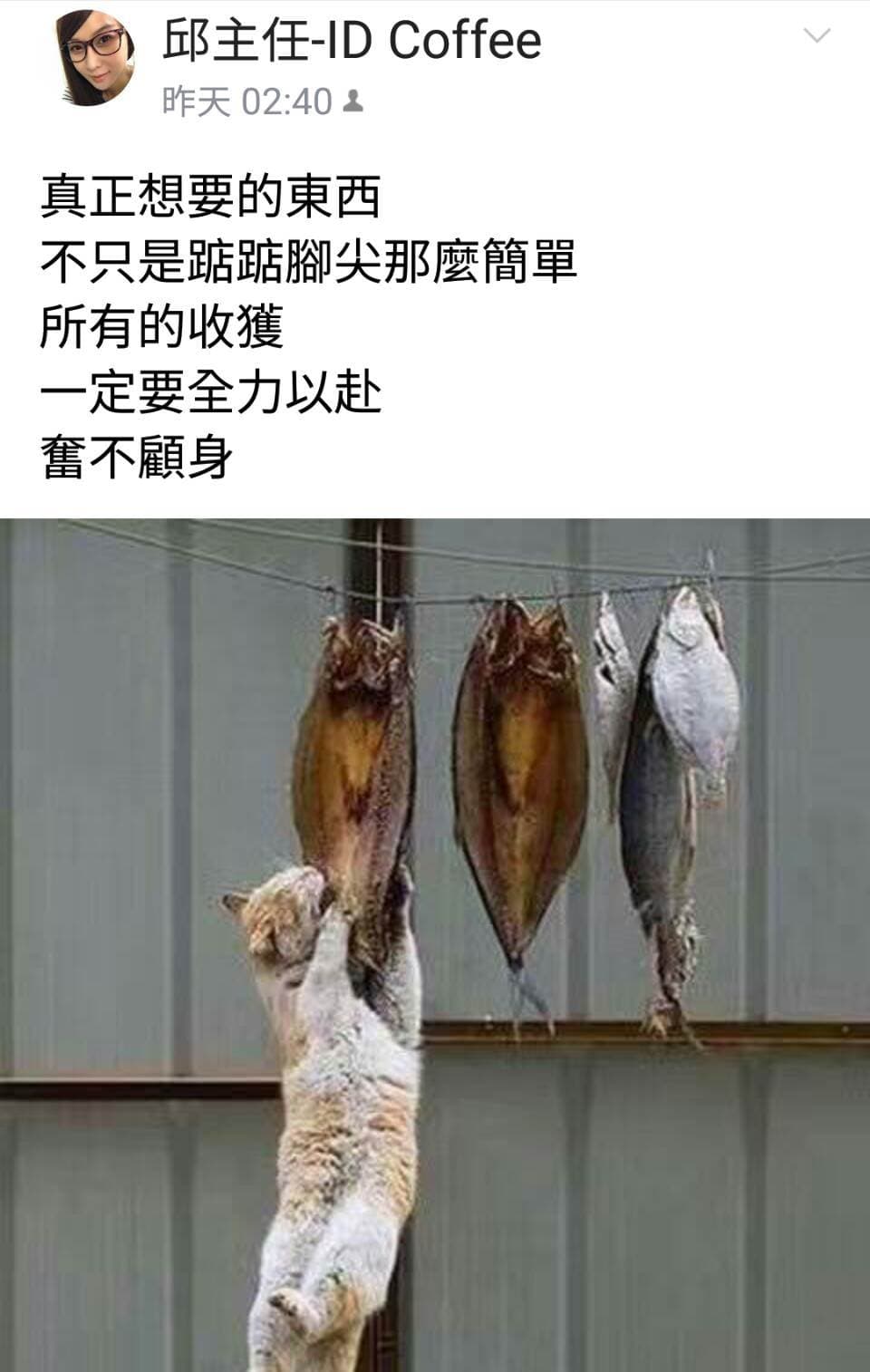 不甘示弱邱惠美在自己的LINE主頁上留言。(翻攝自LINE)