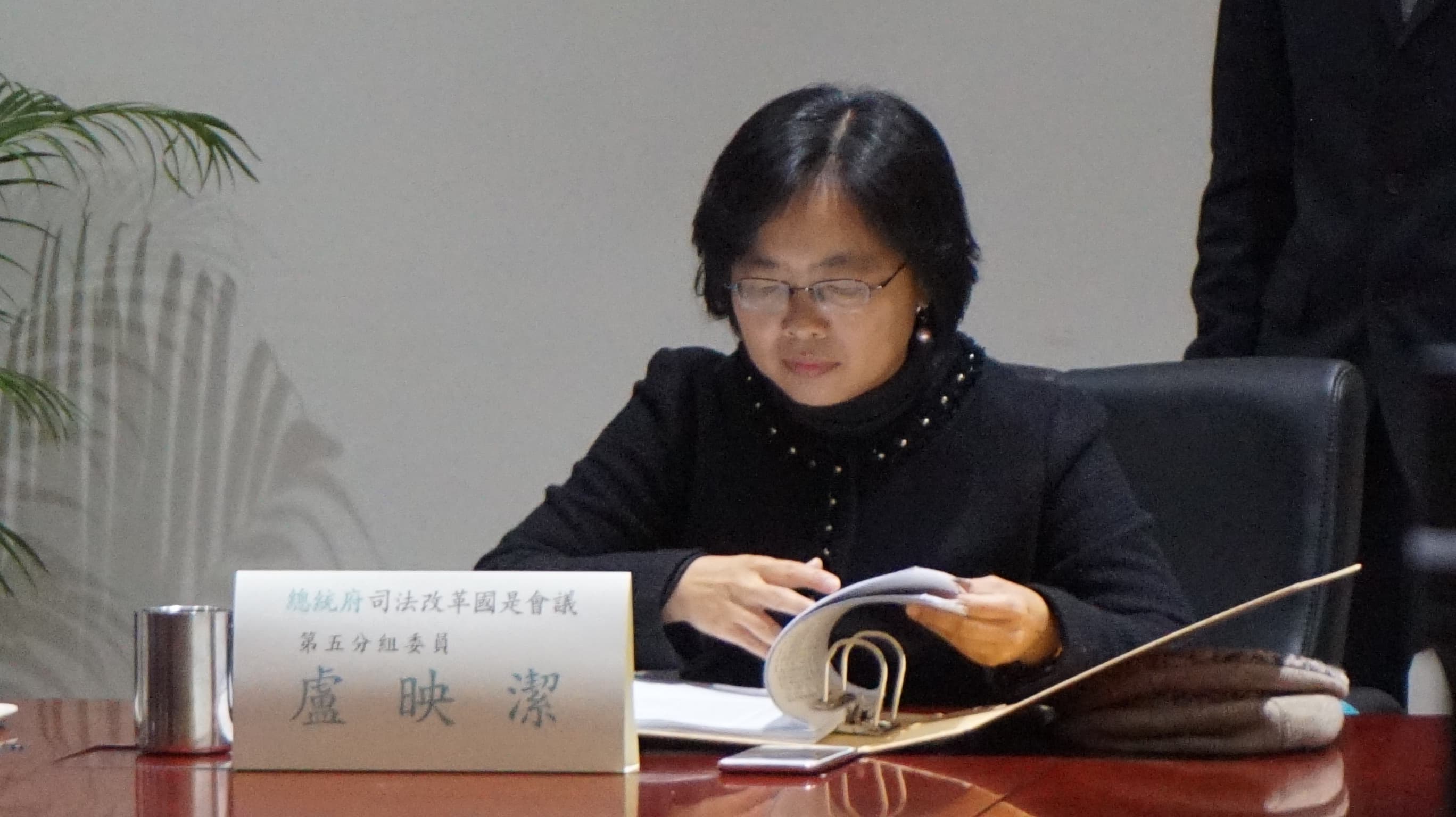 中正大學法律系教授盧映潔提案，建議刪除「意圖販賣而持有毒品罪」、「幫助施用毒品罪」。