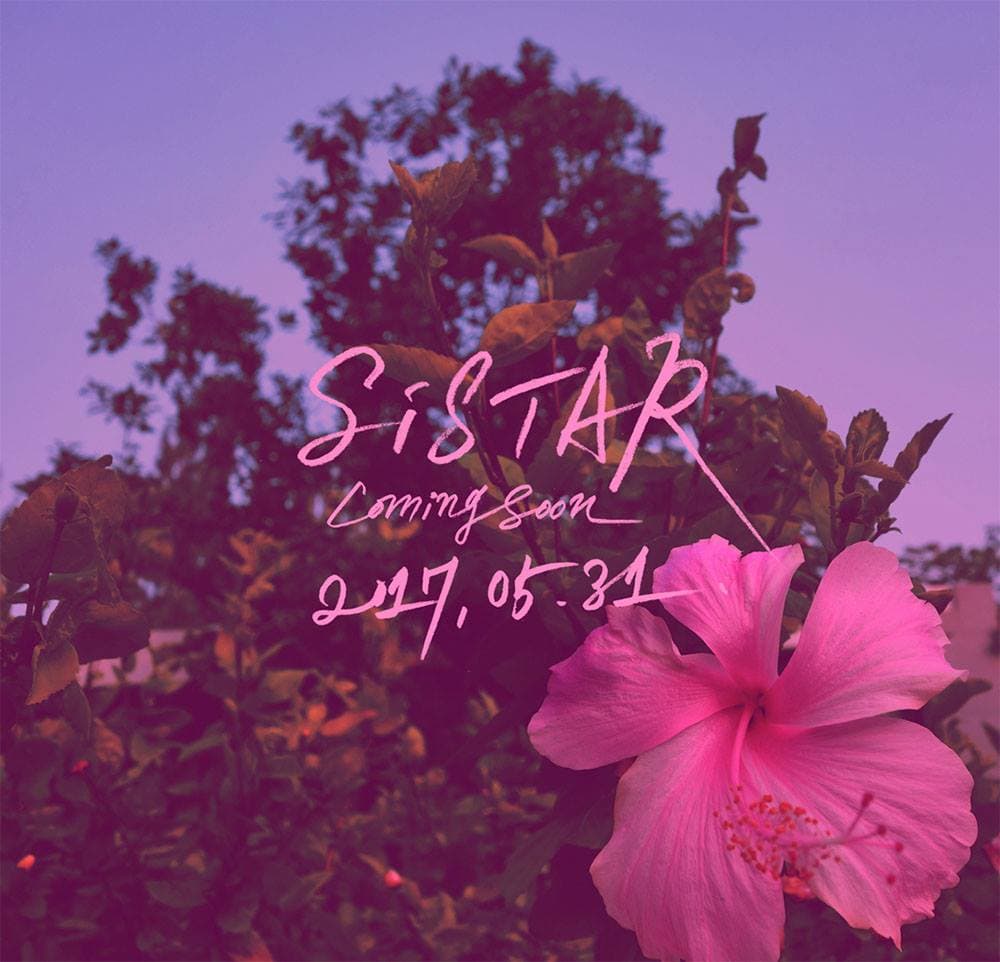 5月31日將發行SISTAR團體的最後一張專輯。（翻攝SISTAR官方FB）