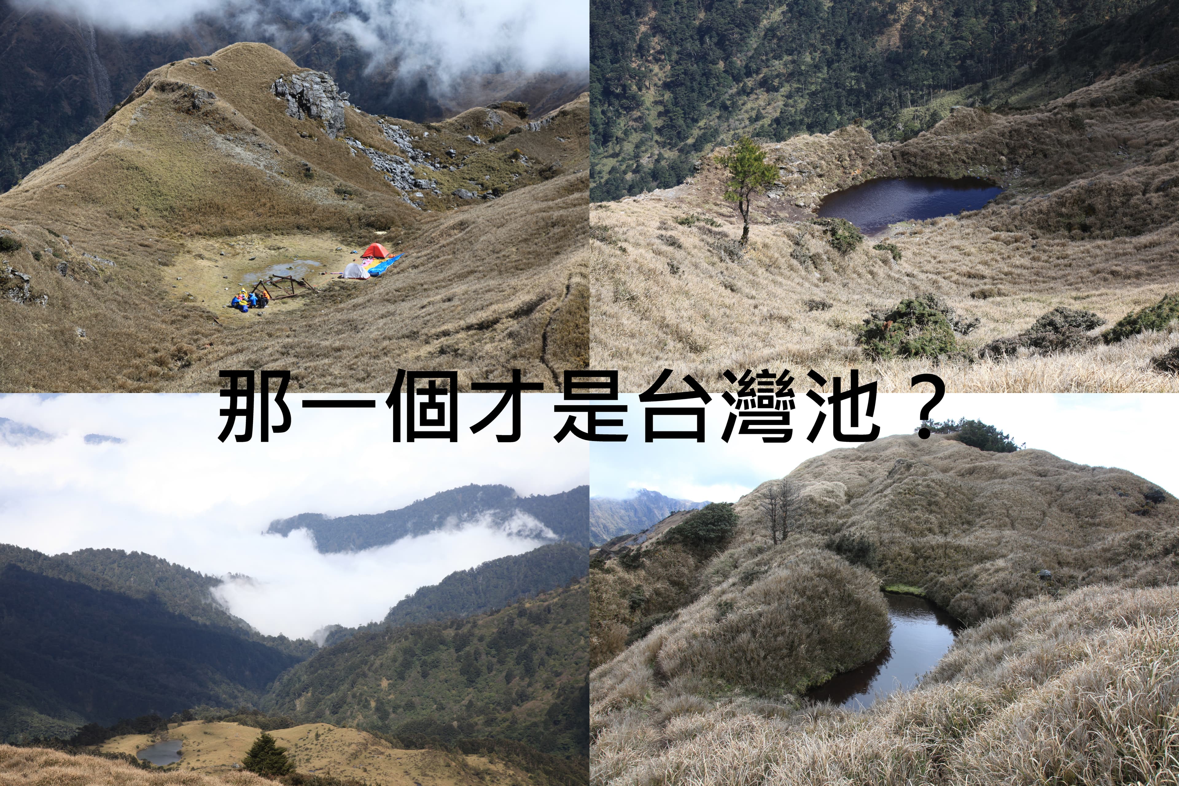 錯過了台灣池,只能回來後靠照片尋覓一下可能的身影。