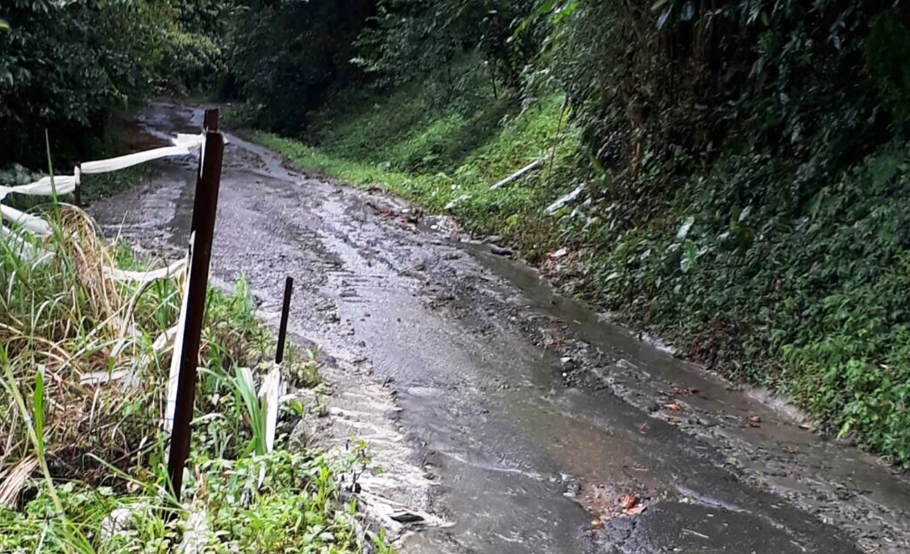 觀音登山步道年久失修，經歷幾次狂風大雨後更出現嚴重坍方。