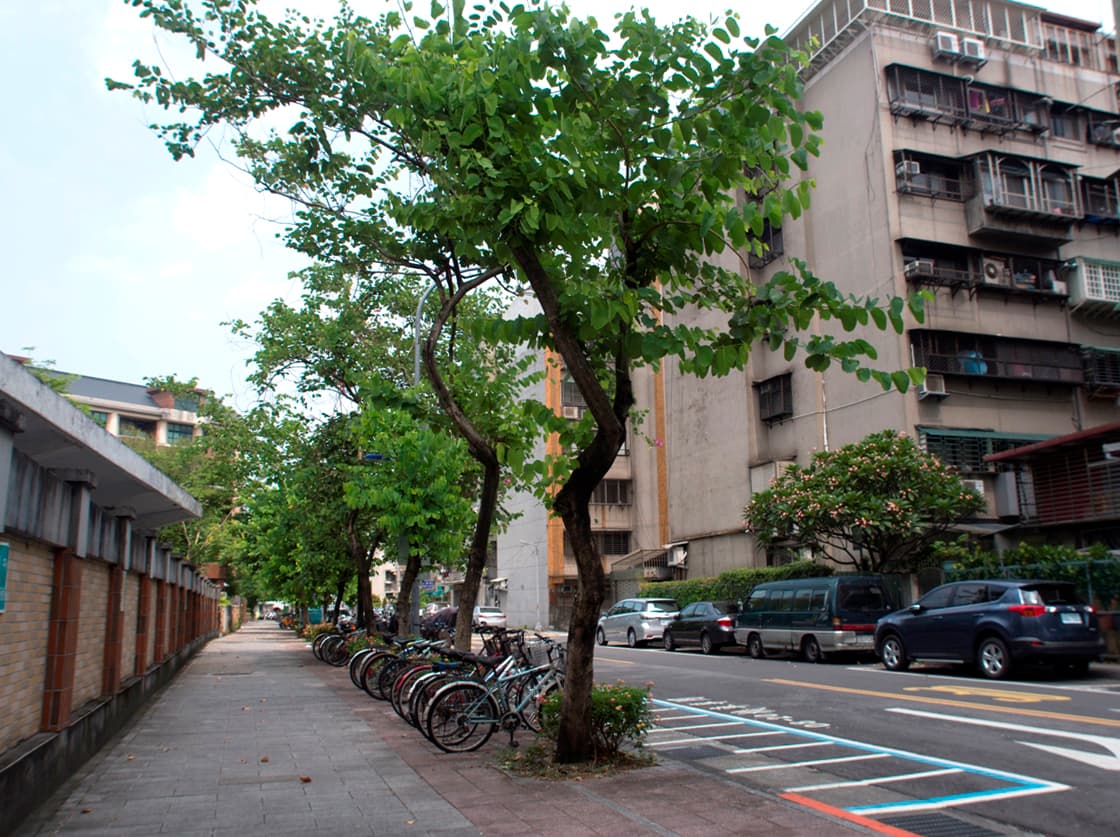龍門國中旁的和平東路二段76巷,是離開台大並跨越辛亥路的第一霧裡薛支線。