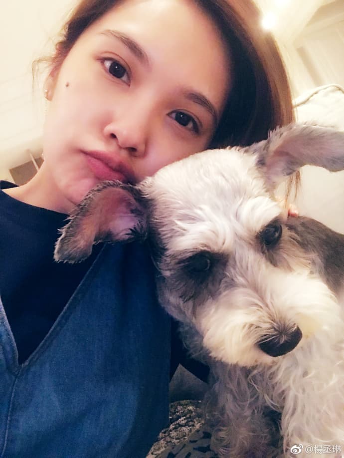 楊丞琳在粉絲頁上PO出與愛犬YUMI的合照,擔心牠的健康。(翻攝王牌星探)