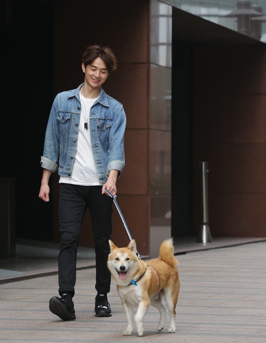 張軒睿有犬系好感顏值,跟柴犬彷彿有兄弟臉。