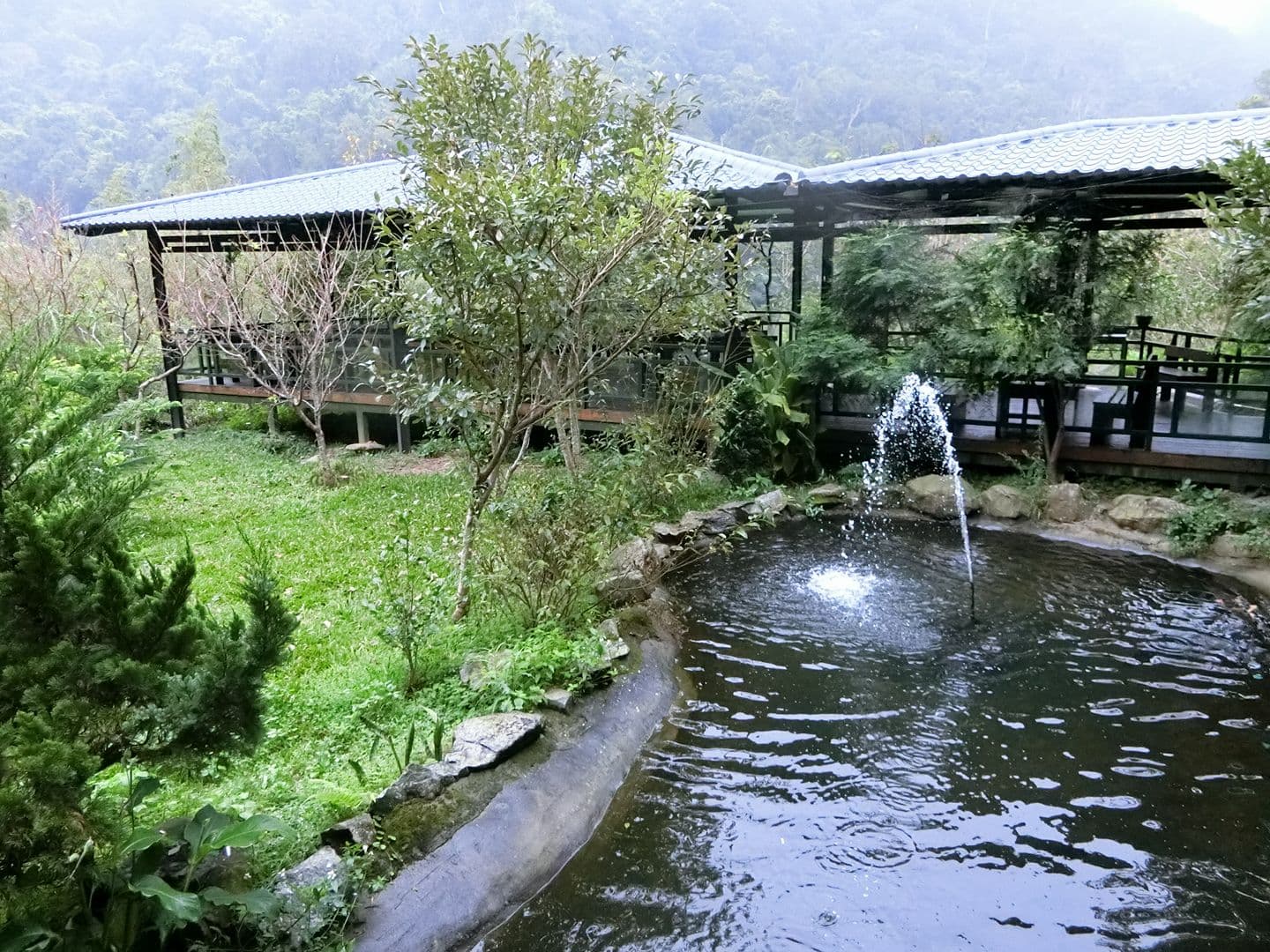 曾經風光明媚的景觀餐廳,如今卻蠅滿為患。(民眾提供)