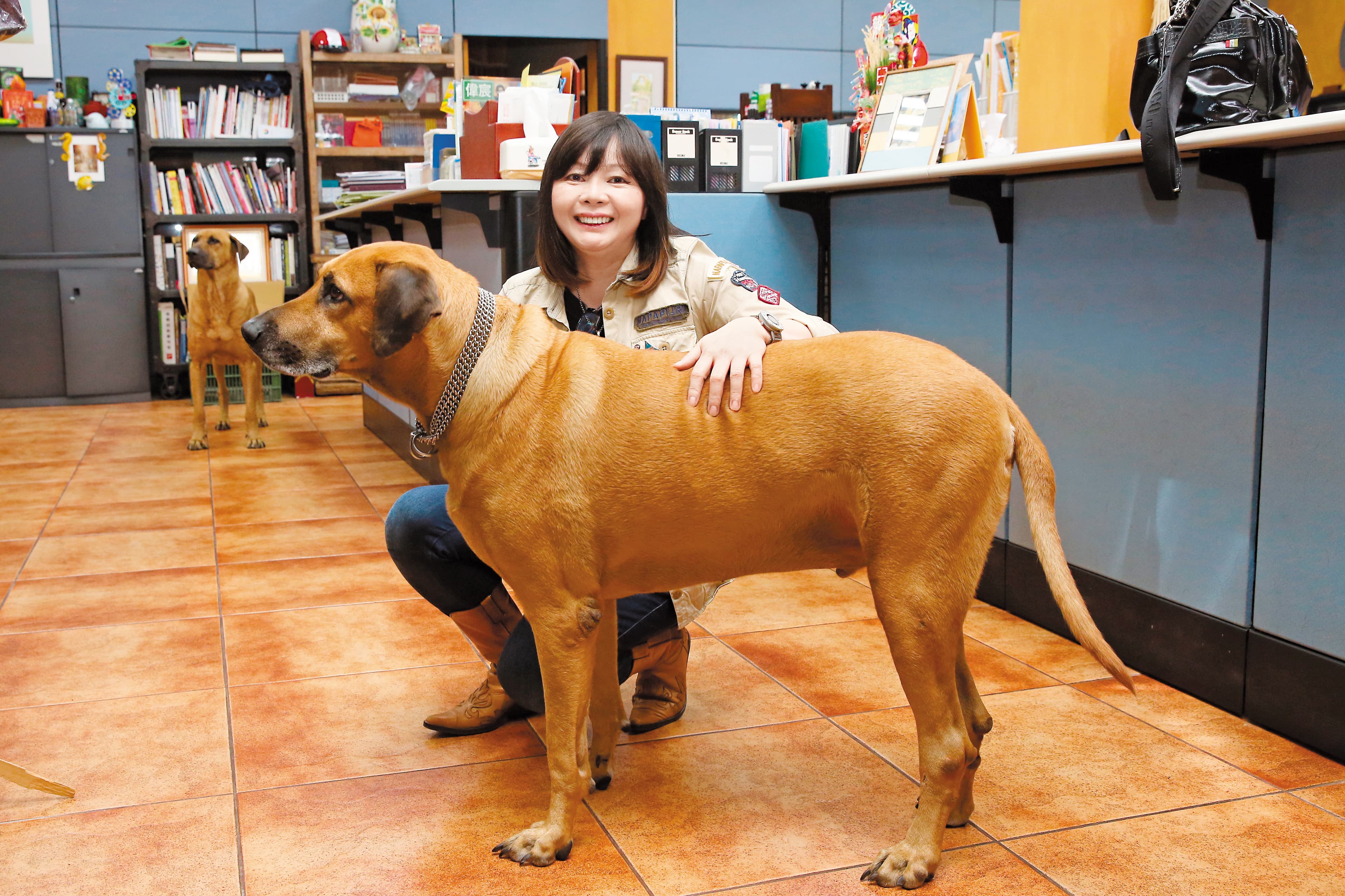 Amy把3隻認養來的大狗,養在冒煙的喬高雄總部內,她說:「大狗不比小狗,牠們被認養率極低,所以專挑大狗來養。」