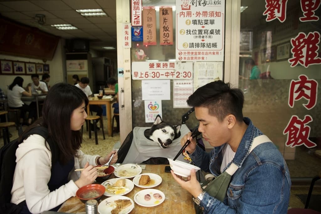 雞肉飯的香氣讓哈士奇狗的口水流得到處都是。
