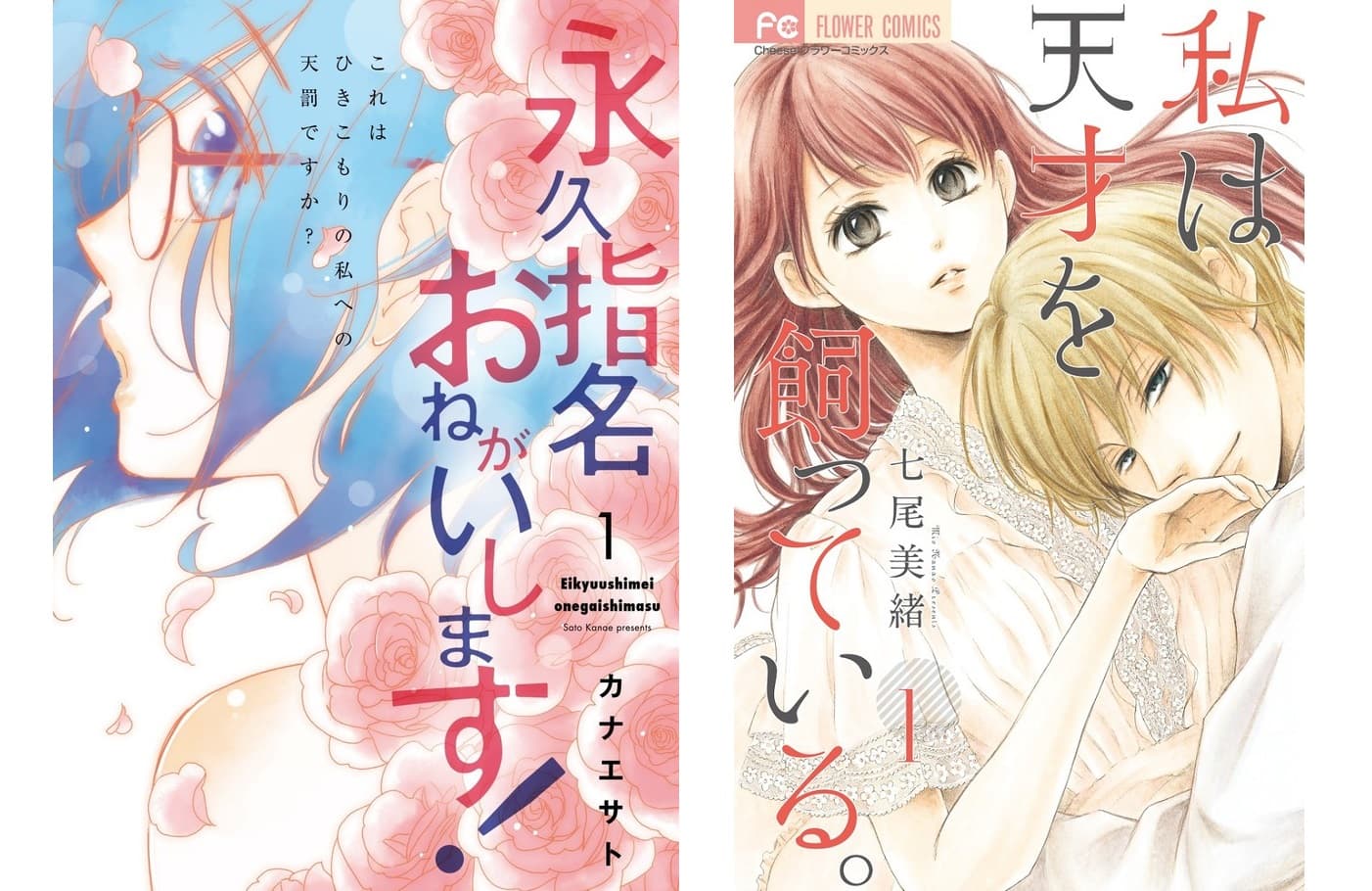 女性部門賞,カナエサト的《請永遠都指定我吧!》以及七尾美緒的《我養了一個天才》。