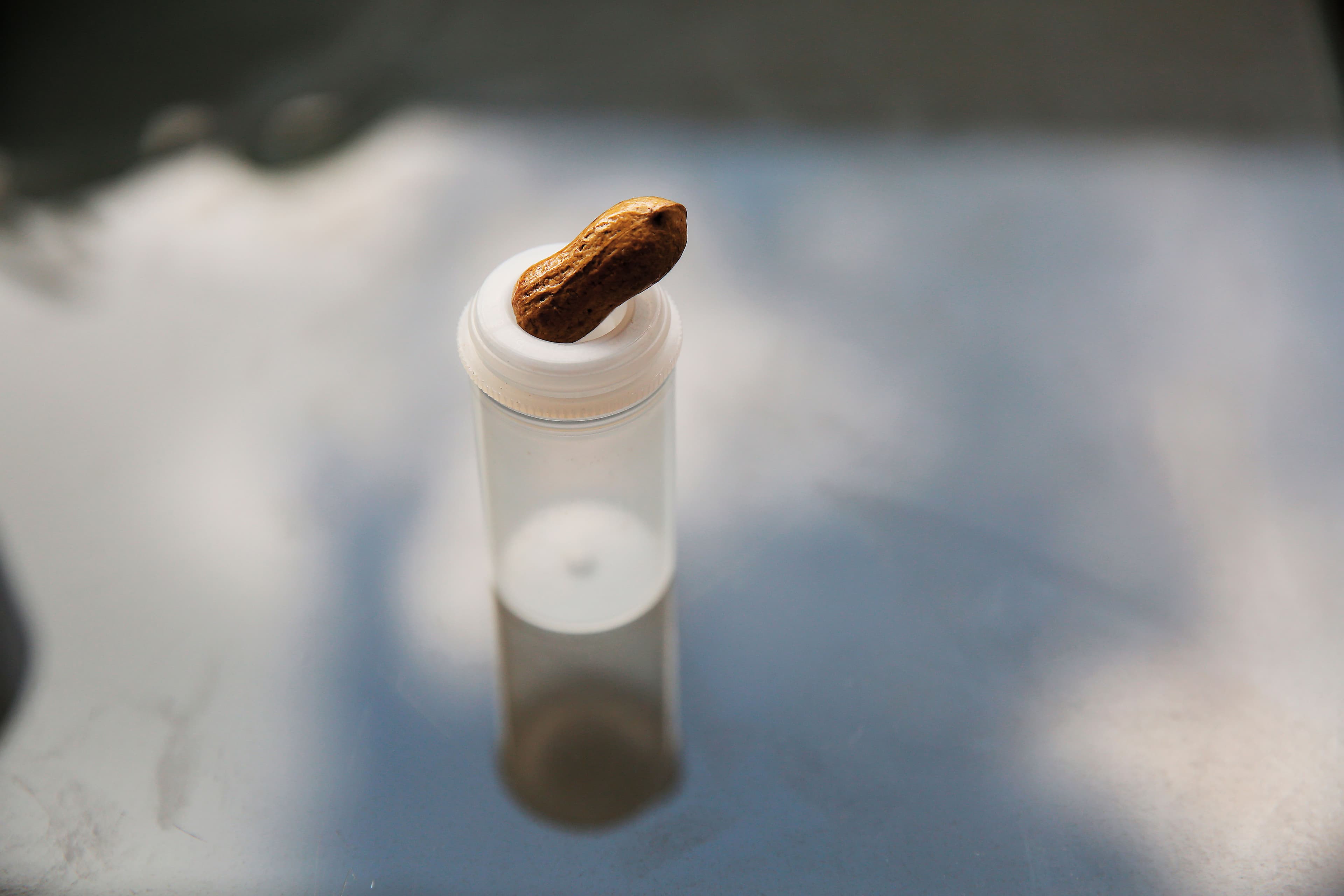 搖一搖會有聲音的花生殼是燕子的寶貝,那是先生送給她的相識週年禮物,至今她仍未打開花生殼,謹慎地收在底片盒裡。