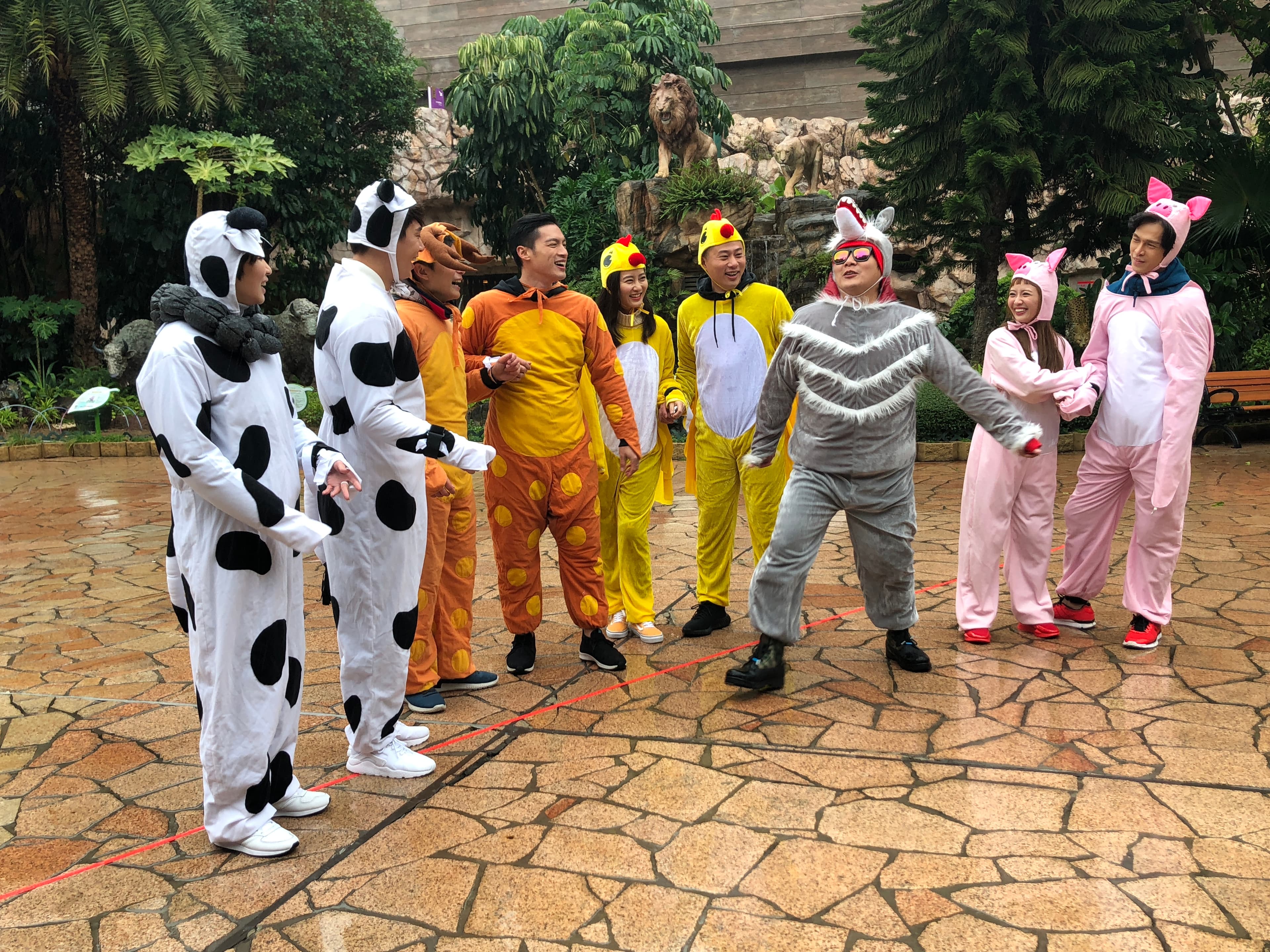 當年的同門師兄弟姊妹一起前進香港搞笑，穿著動物裝完全不計形象。（中視提供）