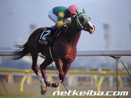 Silence Suzuka 在 1998 年情人節S（OP）出賽的身影。（netkeiba.com）