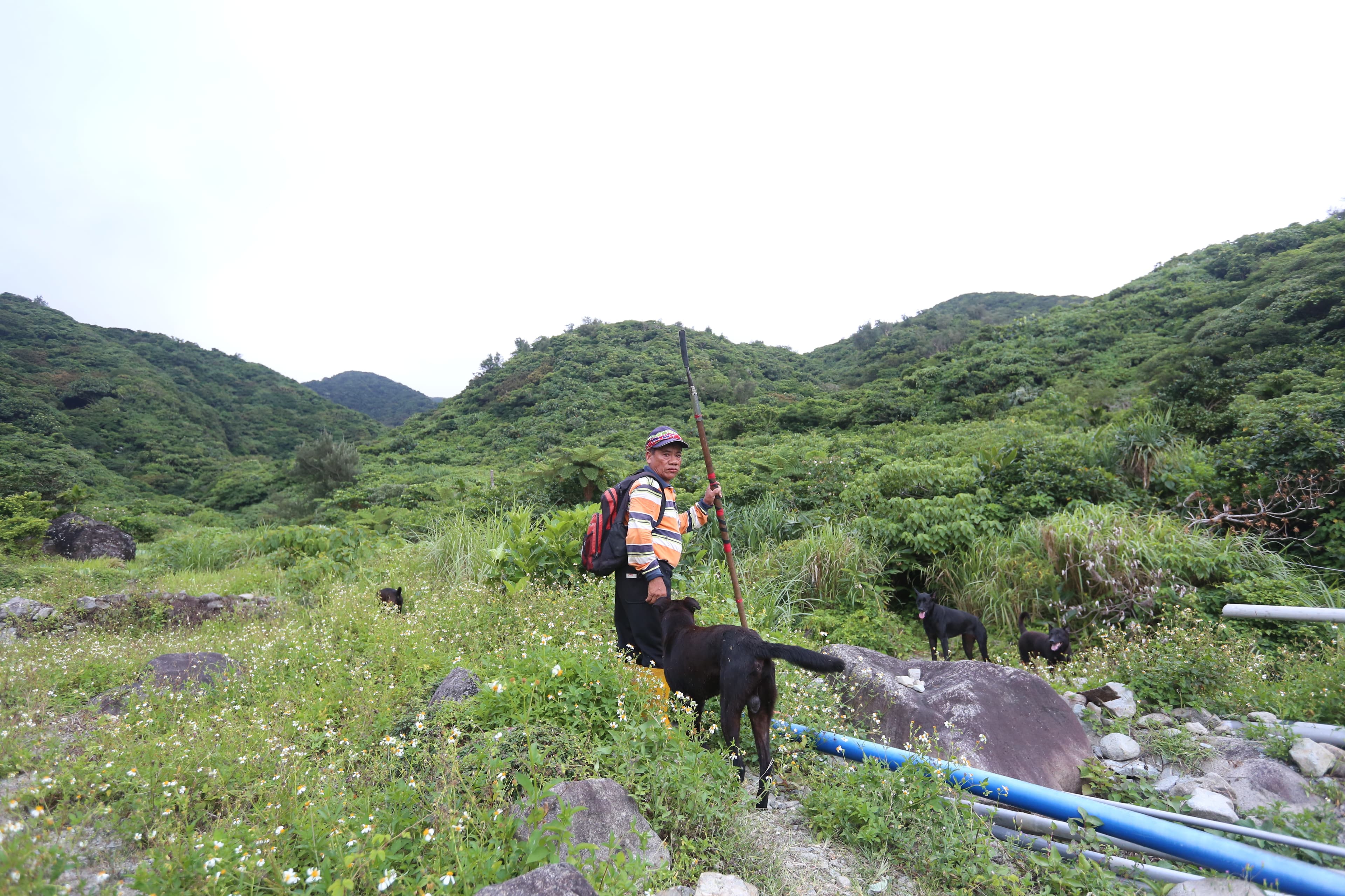 「蘭嶼山豬王」鍾馬雄帶著他的獵犬，深入獵區「為民除害」。