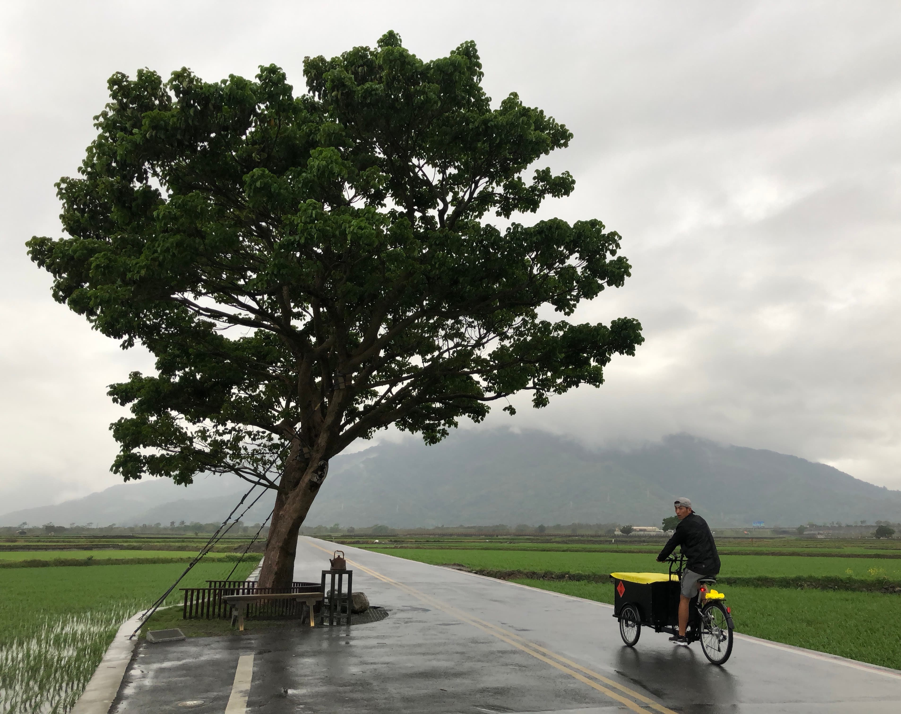 趙駿亞在這次騎三輪車環島的行程中,與著名的「金城武樹」合影。(海納百川娛樂提供)