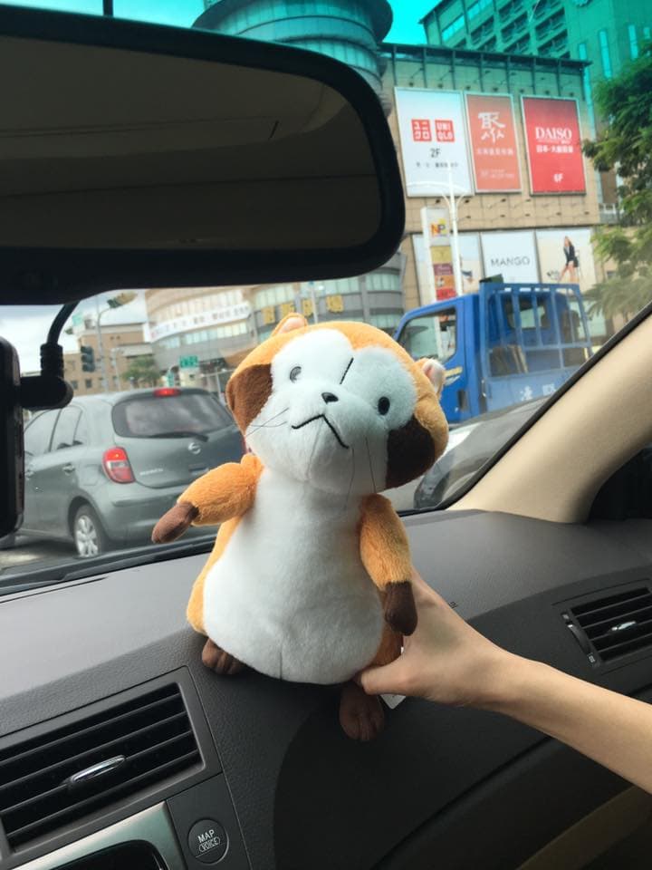 楊偉中的車裡，總會放置許多不同的玩偶。（翻攝楊偉中臉書）